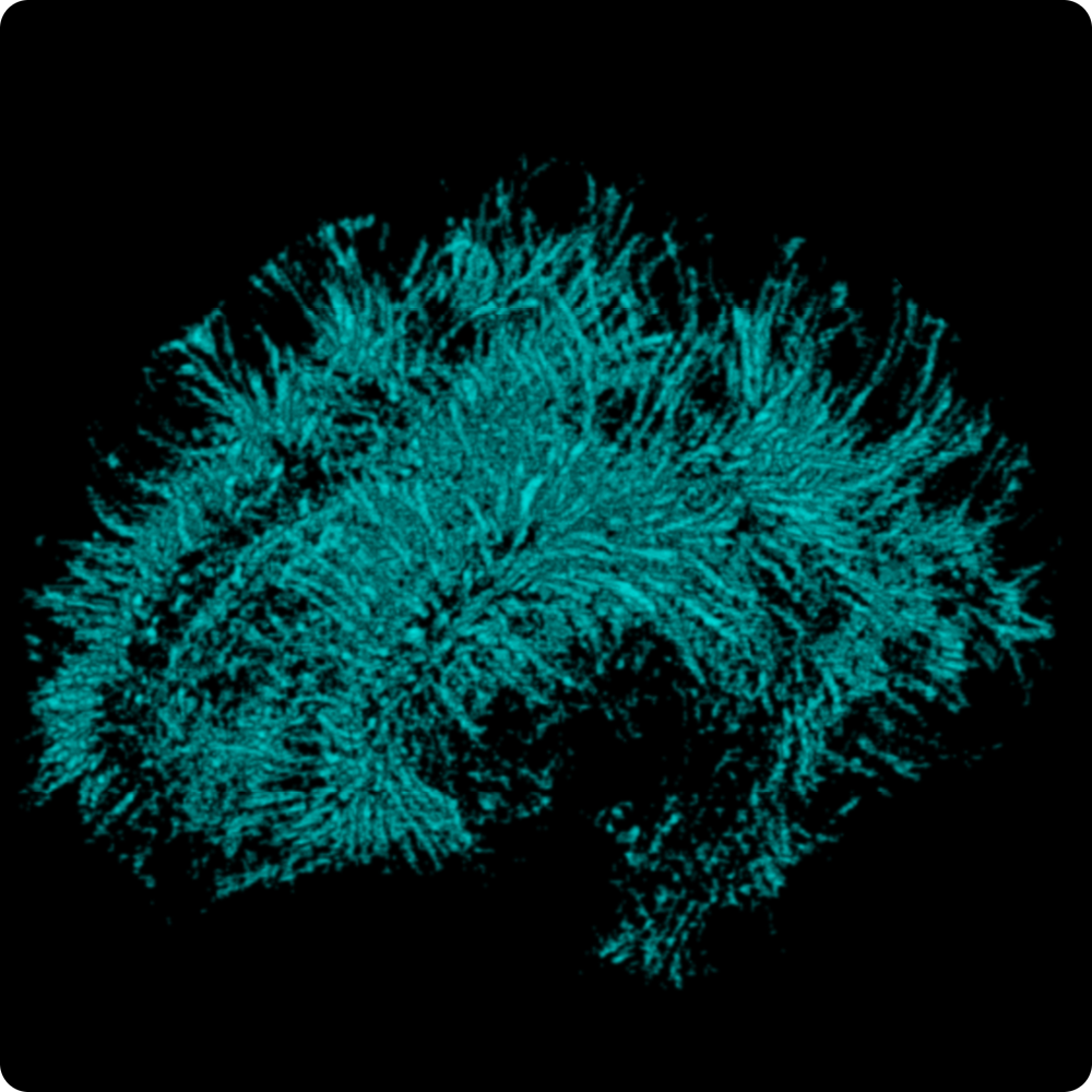 Brain Clearance Research Center